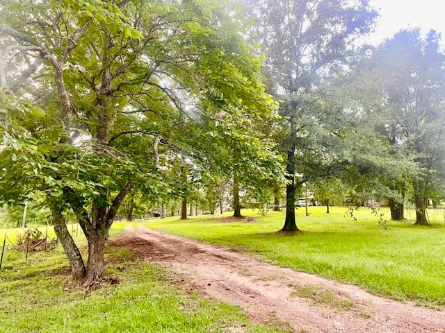 view of home's community with a lawn