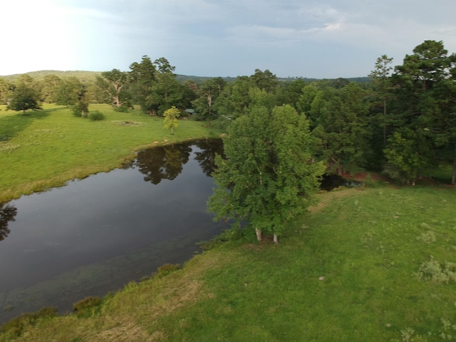 view of water feature