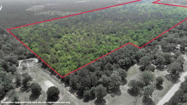 3189 Lakewood Dr, Kountze, TX 77625 - photo 5