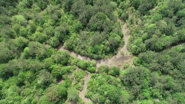 3189 Lakewood Dr, Kountze, TX 77625 - photo 2