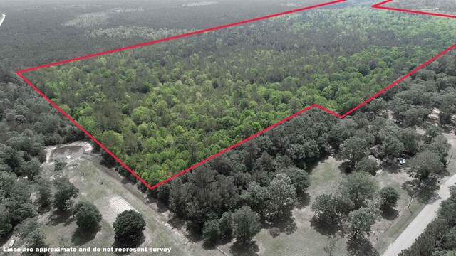 3189 Lakewood Dr, Kountze, TX 77625 - photo 6