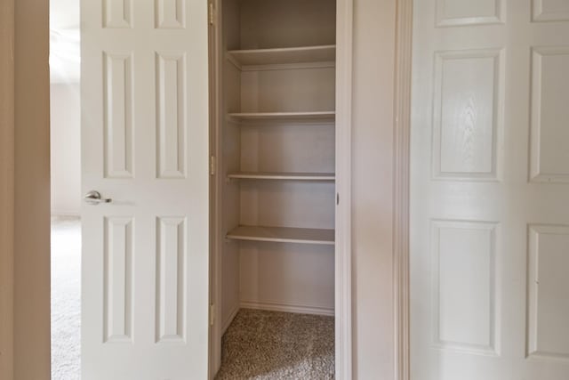 view of closet