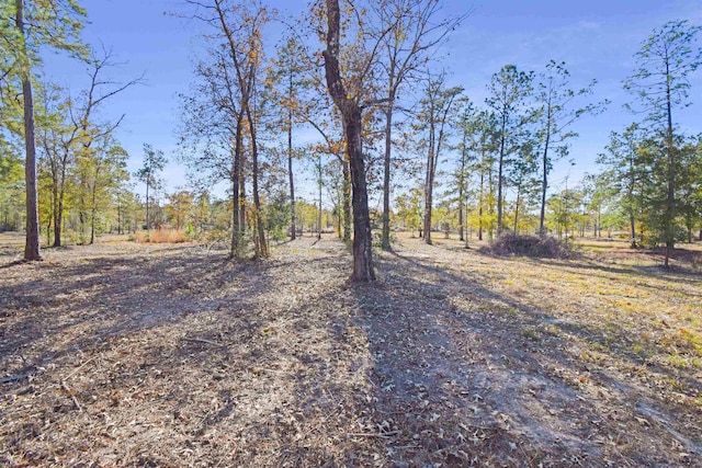 Listing photo 3 for 000 Gore Store Rd, Silsbee TX 77656