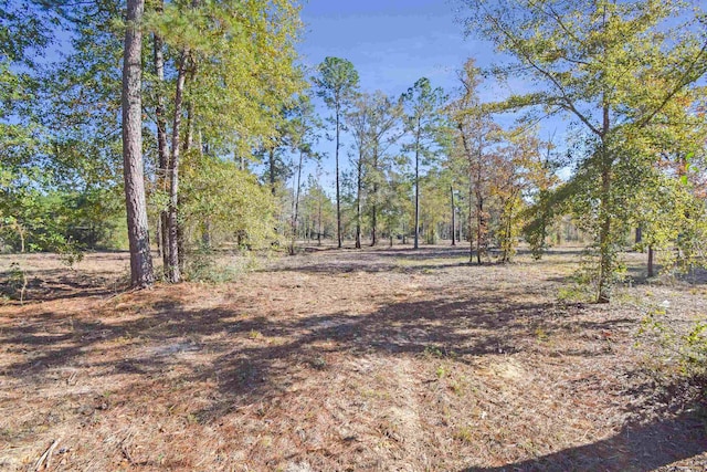 Listing photo 2 for 000 Gore Store Rd, Silsbee TX 77656