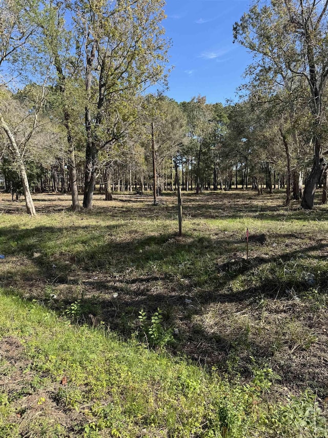 Listing photo 2 for 13205 S Fork Fork, Hamshire TX 77622