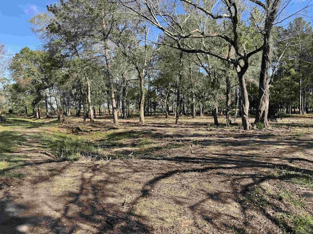 13205 S Fork Fork, Hamshire TX, 77622 land for sale