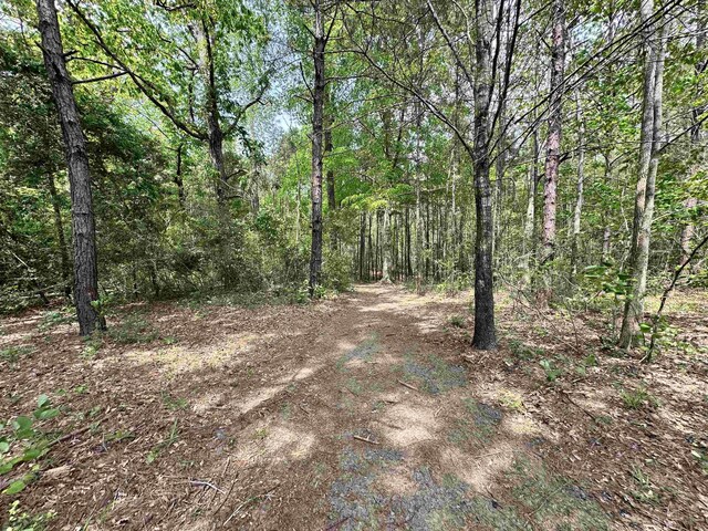 view of nature featuring a forest view