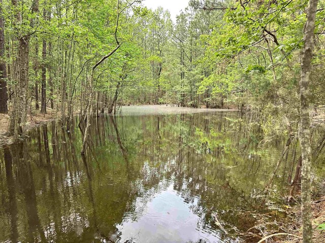 property view of water with a wooded view