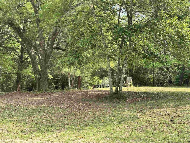 view of yard featuring a wooded view