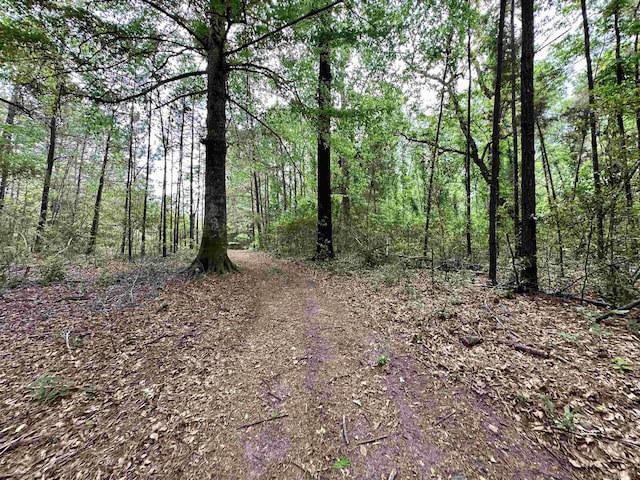 view of landscape featuring a view of trees