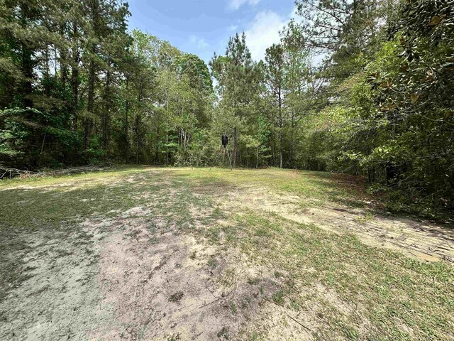 view of yard with a wooded view