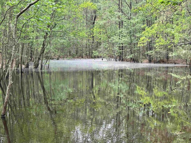 view of landscape with a water view and a forest view