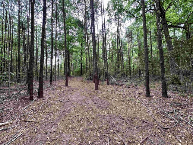 view of landscape with a forest view