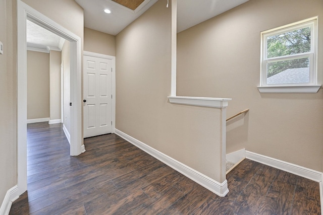 hallway featuring crown molding and dark hardwood / wood-style floors