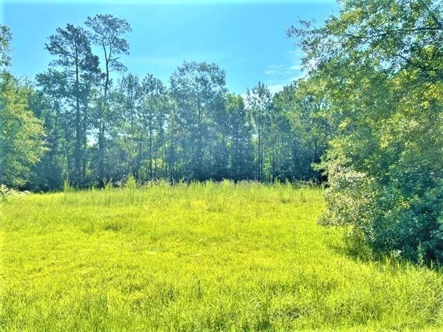 Randy Ln, Vidor TX, 77662 land for sale