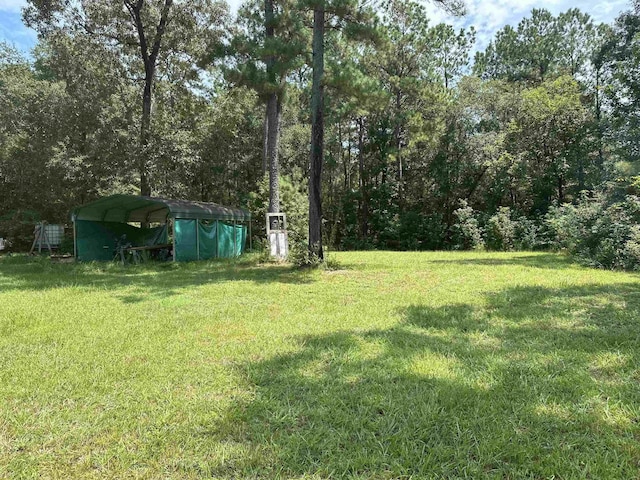 view of yard featuring a carport