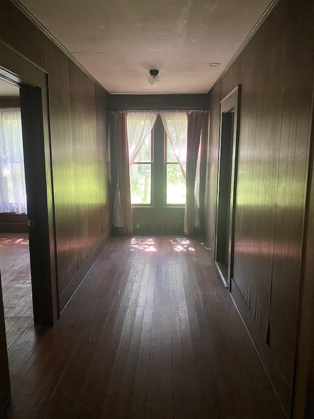 spare room with wood walls and dark hardwood / wood-style flooring