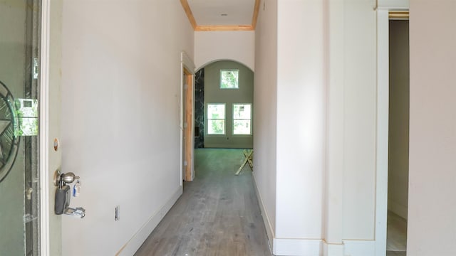 hall with baseboards, wood finished floors, and arched walkways