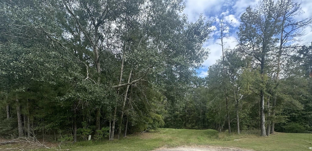 00 Colony Dr, Kountze, TX 77625