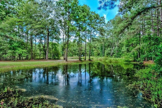 17831 Interstate 10, Beaumont, TX 77705 - photo 4