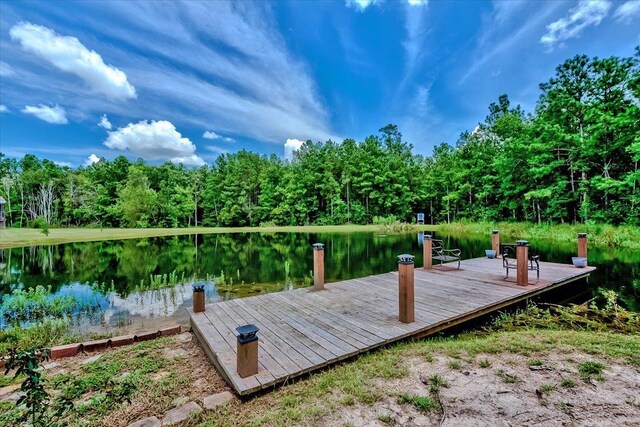 17831 Interstate 10, Beaumont, TX 77705 - photo 7