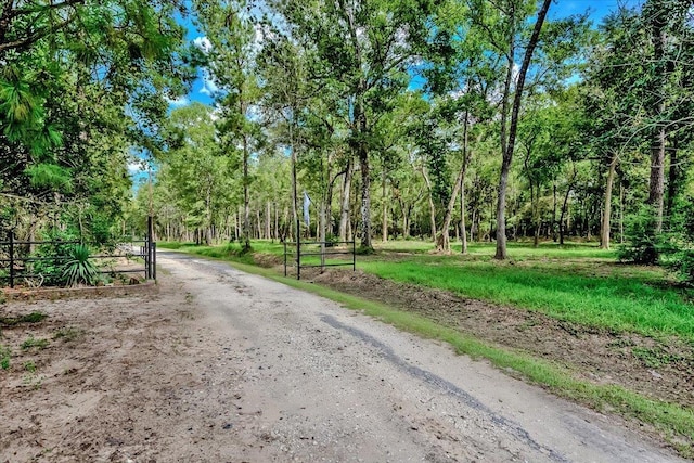 17831 Interstate 10, Beaumont, TX 77705 - photo 1