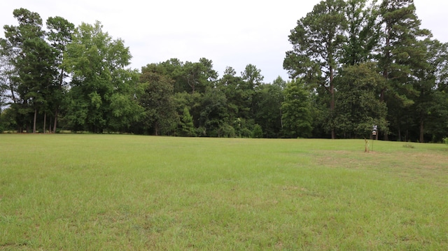 1544 County Road 099, Jasper, TX 75951 - photo 14
