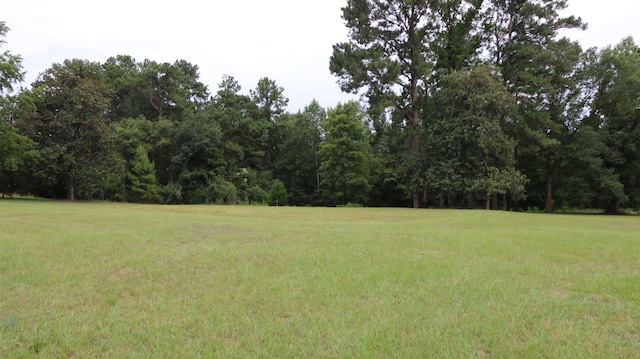 1544 County Road 099, Jasper, TX 75951 - photo 16