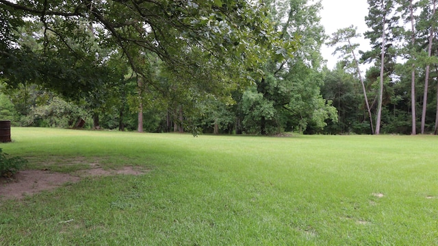 1544 County Road 099, Jasper, TX 75951 - photo 19