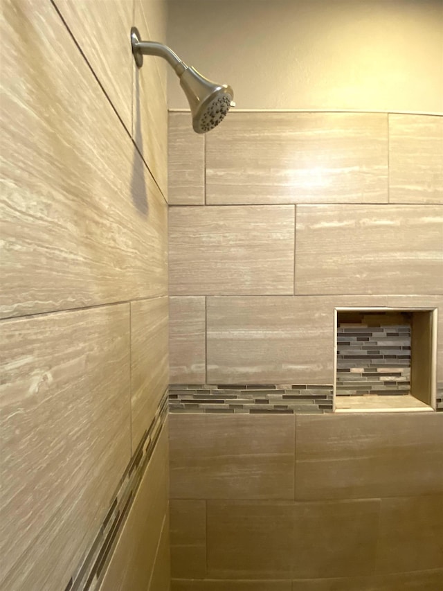 interior details with tiled shower