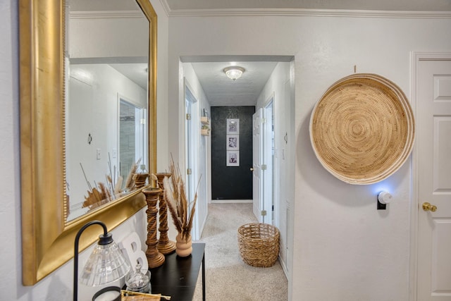 hall featuring carpet and ornamental molding