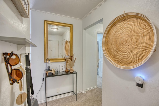 hall with crown molding, baseboards, and carpet floors