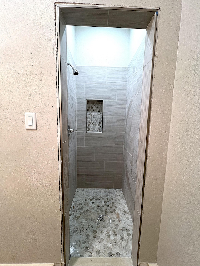 bathroom featuring a shower stall