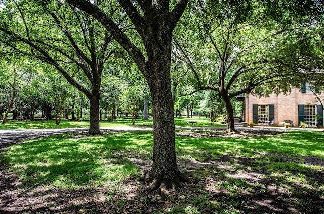 2550 Ashley St, Beaumont, TX 77702 - photo 28