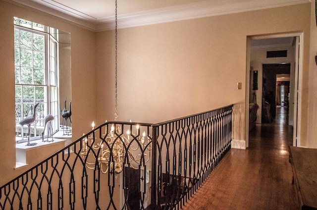 hallway featuring crown molding and dark hardwood / wood-style flooring