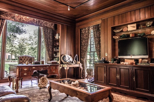 sitting room with wooden walls, plenty of natural light, and wood ceiling