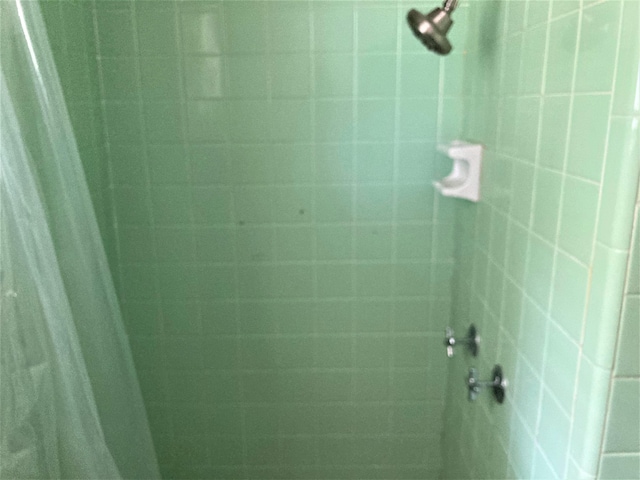 4701 Redbird St, Port Arthur, TX 77642 - bathroom featuring curtained shower
