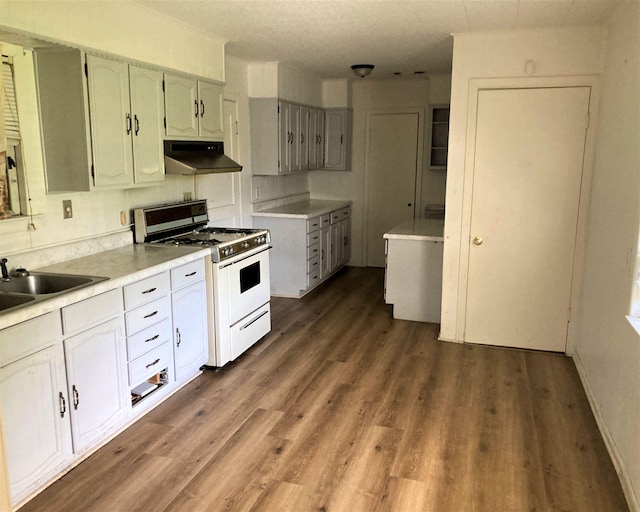 4701 Redbird St, Port Arthur, TX 77642 - kitchen with white gas stove, under cabinet range hood, a sink, and dark wood finished floors