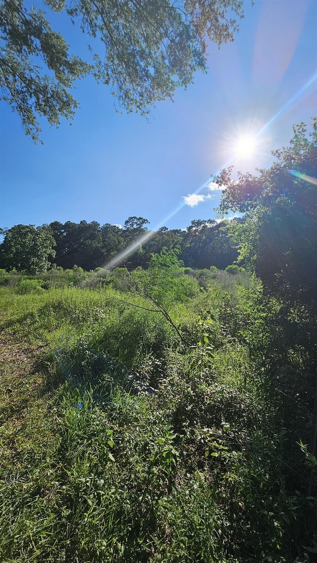 1600 Connell Rd, Vidor, TX 77662 - photo 8
