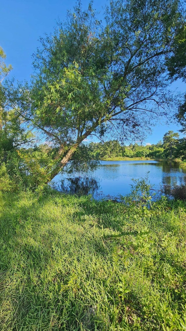 1600 Connell Rd, Vidor, TX 77662 - photo 4