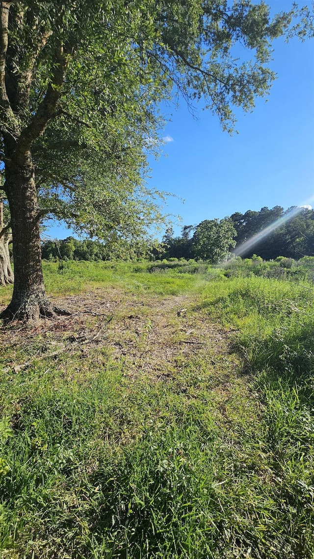 1600 Connell Rd, Vidor, TX 77662 - photo 3