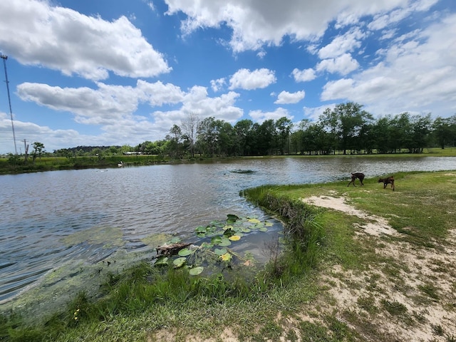 215 County Road 734, Buna, TX 77612 - photo 6