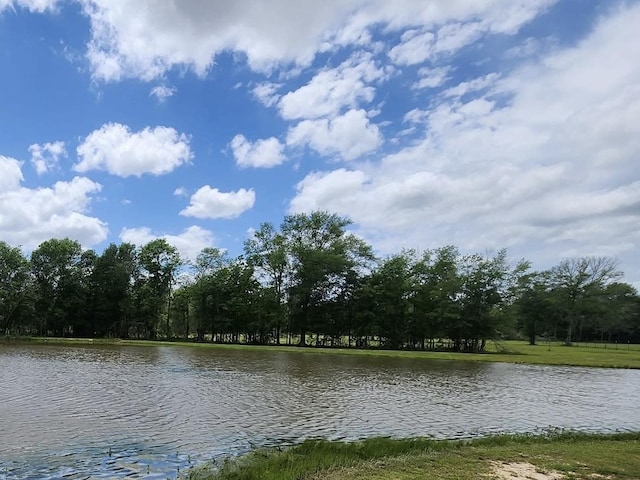 215 County Road 734, Buna, TX 77612 - photo 7