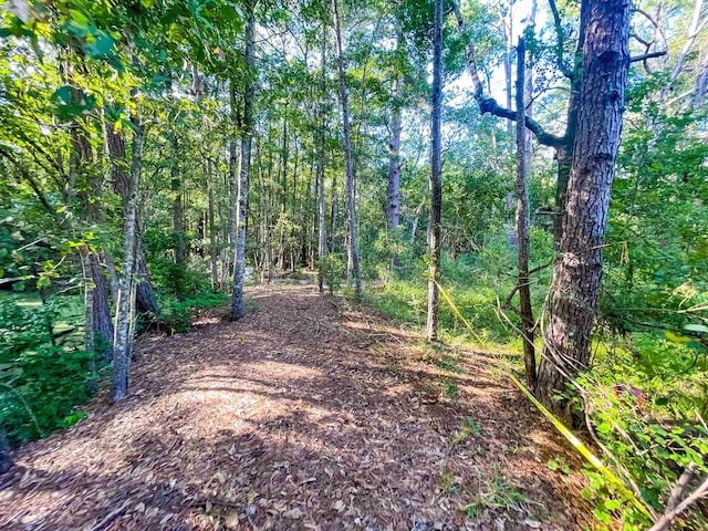 170 W Cir, Vidor, TX 77662 - photo 9