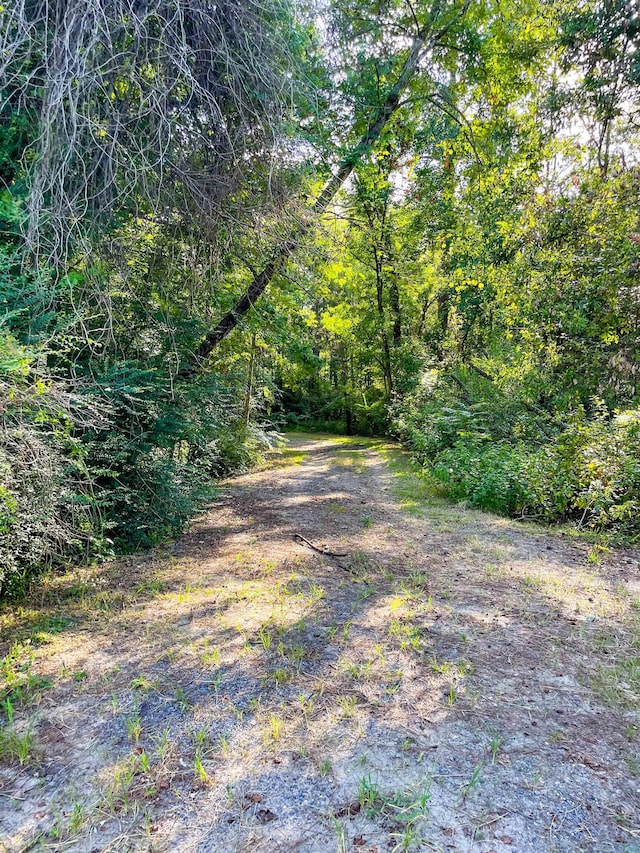 170 W Cir, Vidor, TX 77662 - photo 15