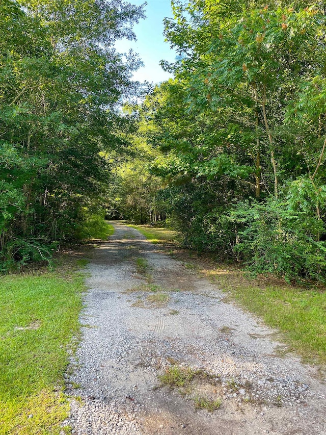 170 W Cir, Vidor, TX 77662 - photo 2