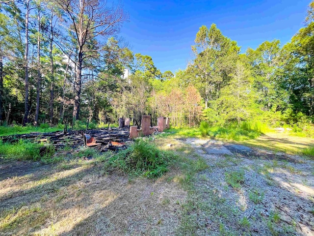 170 W Cir, Vidor, TX 77662 - photo 8