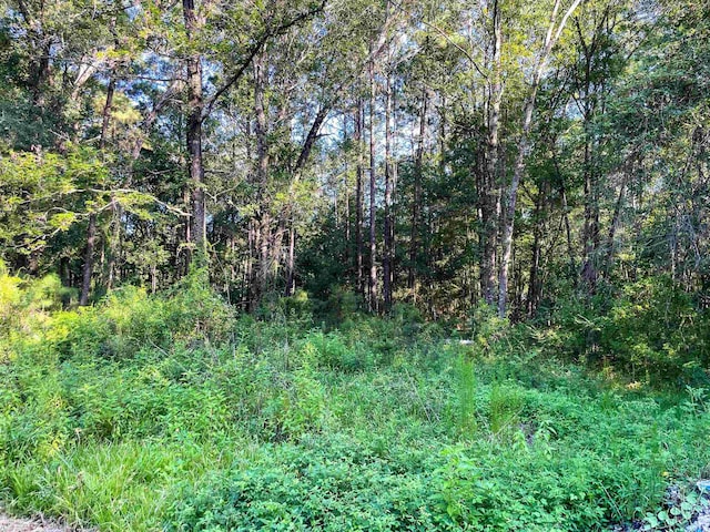170 W Cir, Vidor, TX 77662 - photo 13