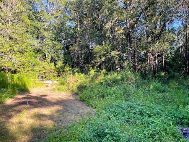 170 W Cir, Vidor, TX 77662 - photo 12