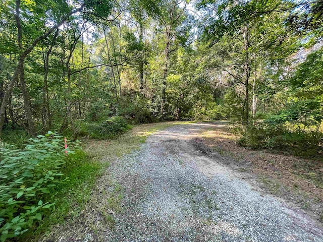 170 W Cir, Vidor, TX 77662 - photo 3